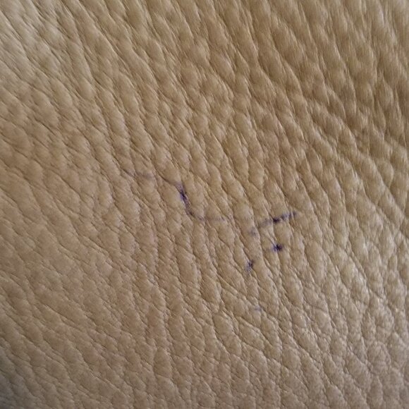 Fossil Women's Carmel Pebble Leather Boho Y2K Western Tan Purse - Picture 9 of 13